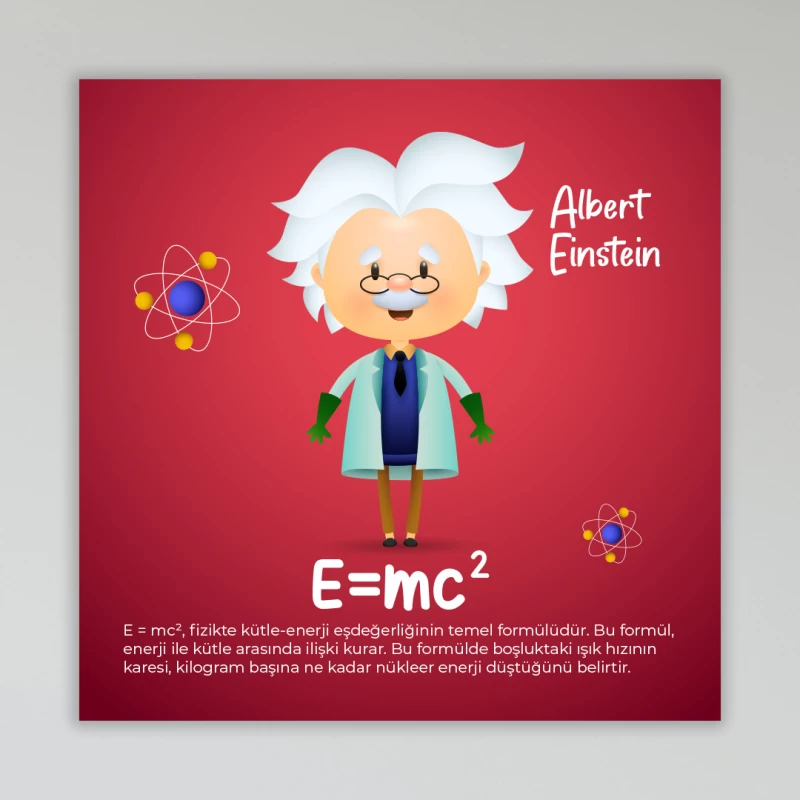 Albert Einstein Okul Posteri