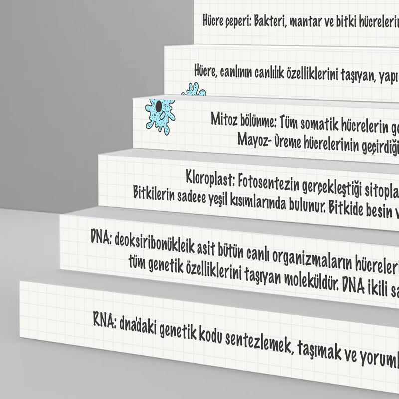 Biyoloji Merdiven Giydirme -01