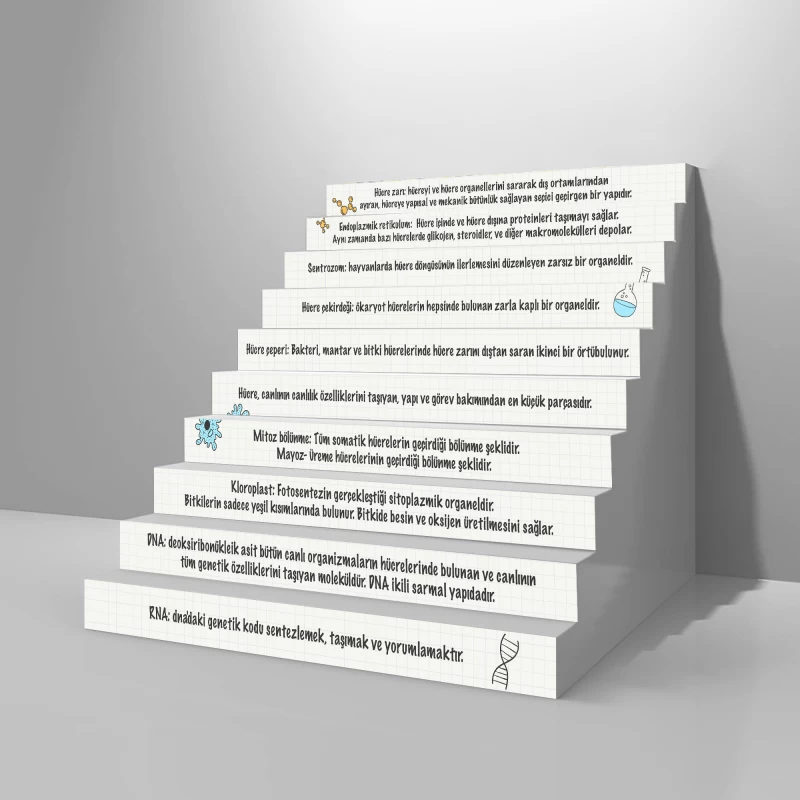 Biyoloji Merdiven Giydirme -01