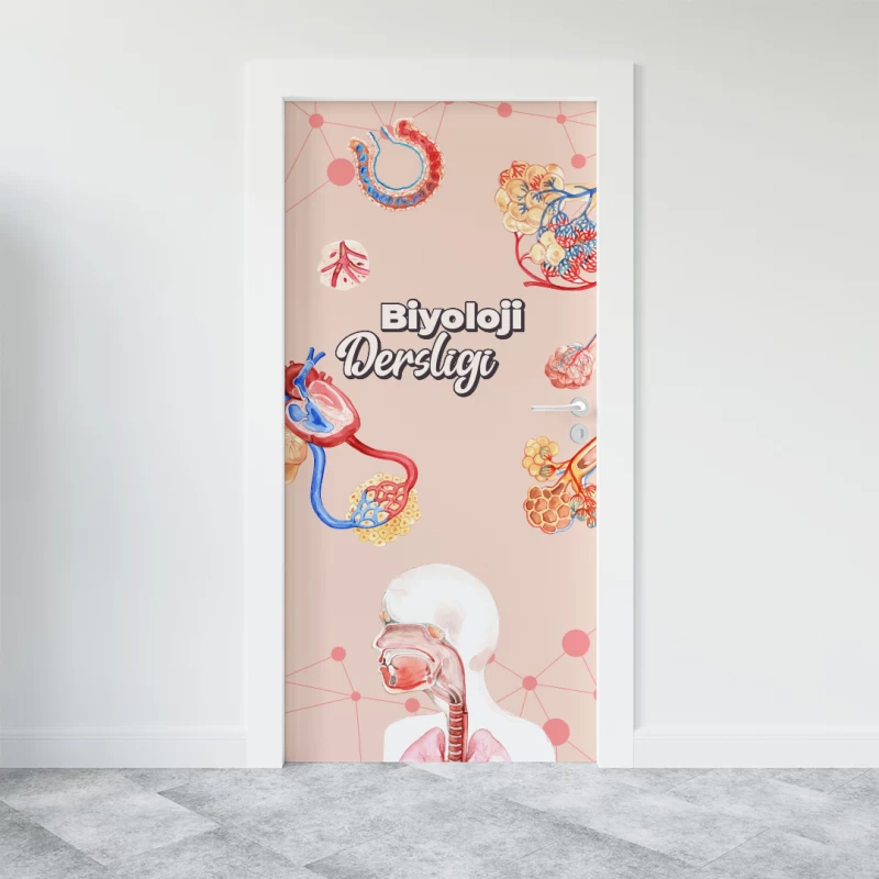 Biyoloji Sınıfı Kapı Giydirme -7
