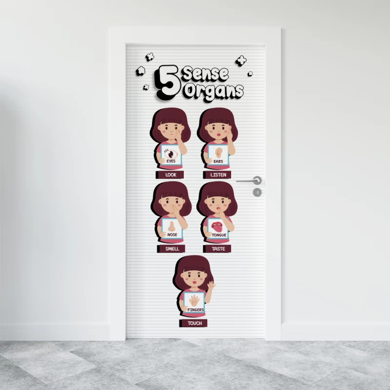 İngilizce 5 Duyu Organımız