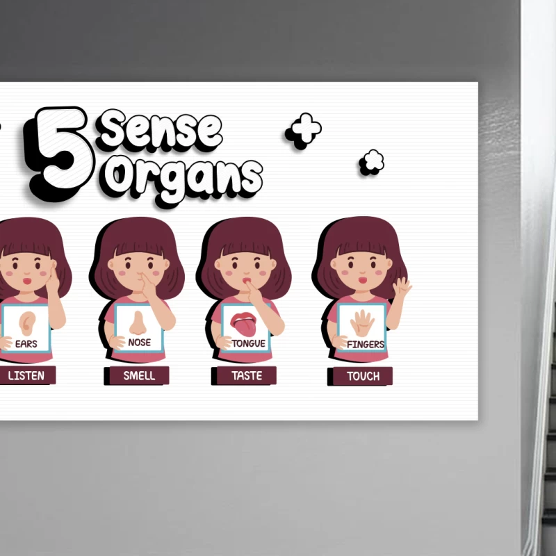 İngilizce 5 Duyu Organımız Okul Posteri