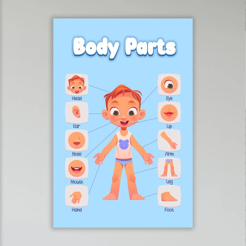 İngilizce Vücut Kısımları Okul Posteri